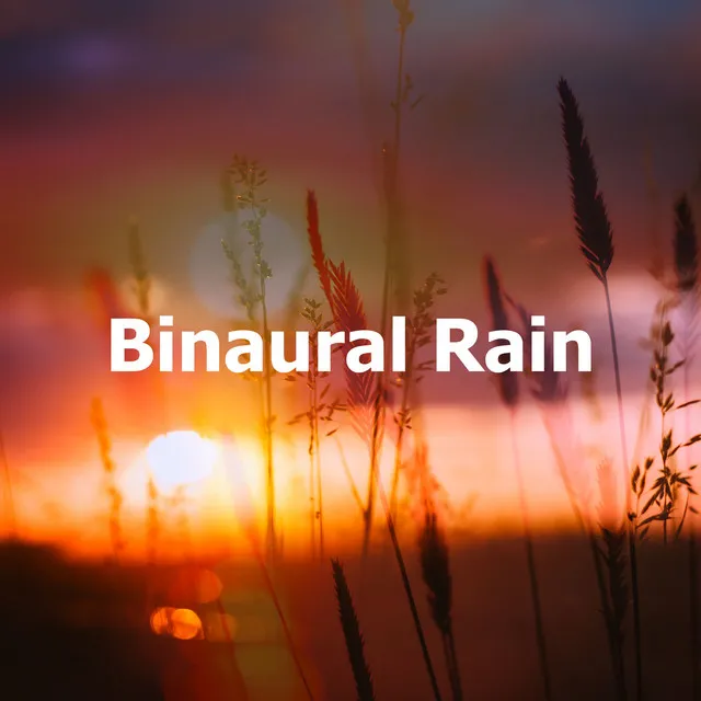 Binaural Rain