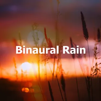 Binaural Rain by 