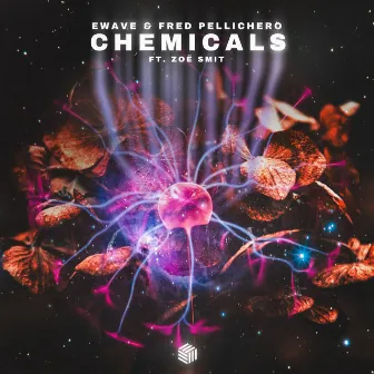 Chemicals by Zoë Smit