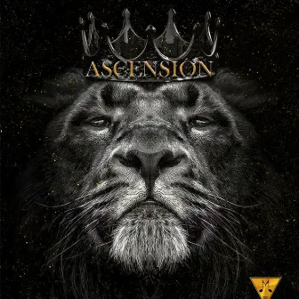 Ascension by Moonie Music