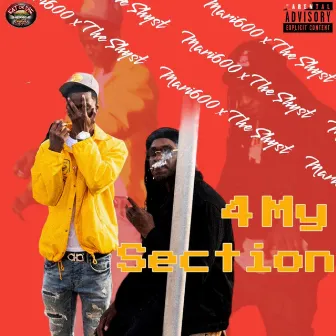 4 My Section by Mari600