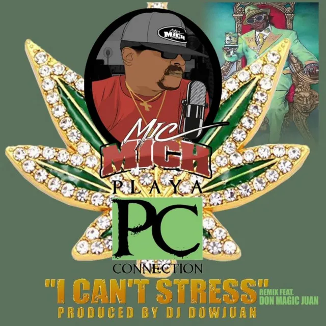 I can't stress remix (Radio Edit)