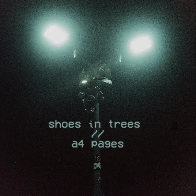 shoes in trees