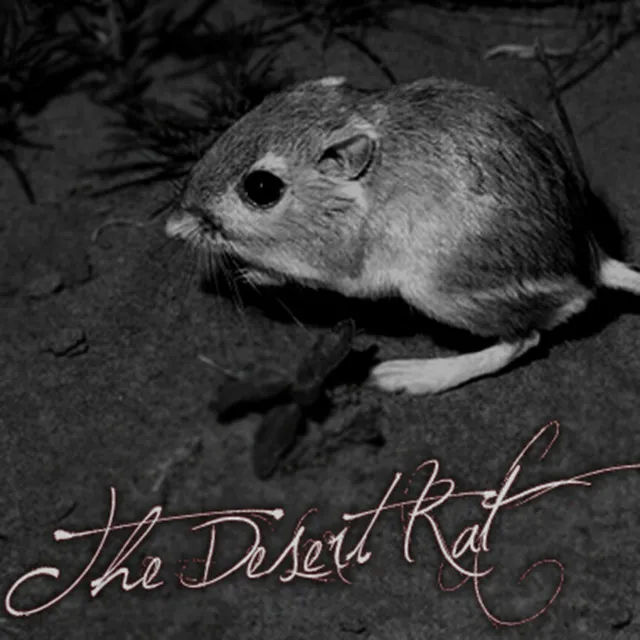 The Desert Rat