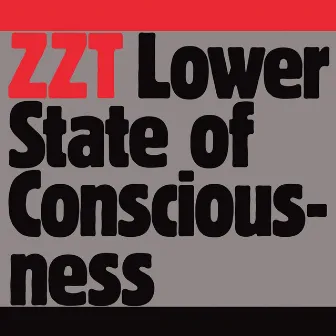 Lower State Of Consciousness by ZZT