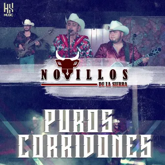 Puros Corridones by Novillos de la Sierra