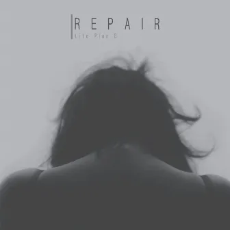 Repair by Life Plan B