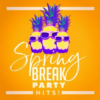 Spring Break Party Hits! by Unknown Artist