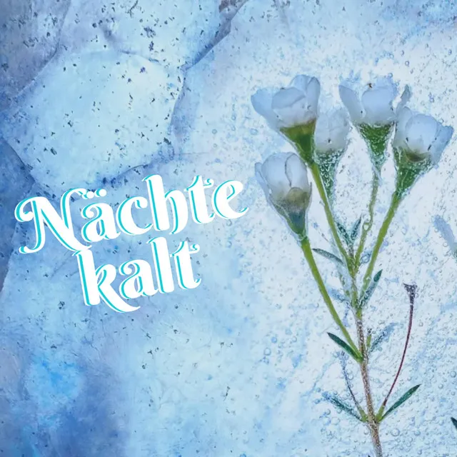 Nächte Kalt