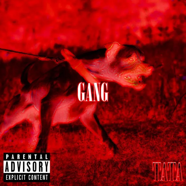 Gang