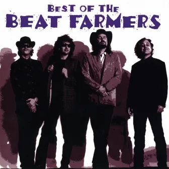 Best Of The Beat Farmers by The Beat Farmers