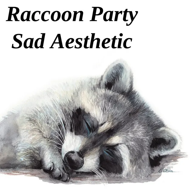 Raccoon party