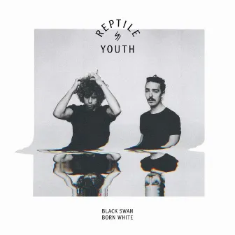 Black Swan Born White by Reptile Youth