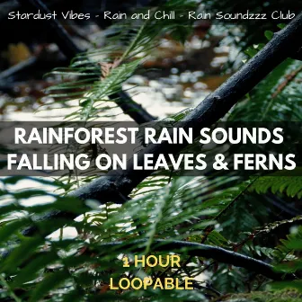 Rainforest Rain Sounds Falling on Leaves & Ferns: One Hour (Loopable) by Rain Soundzzz Club