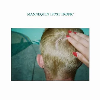 Split by Mannequin