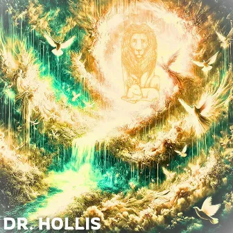 Overflow by Dr. Hollis