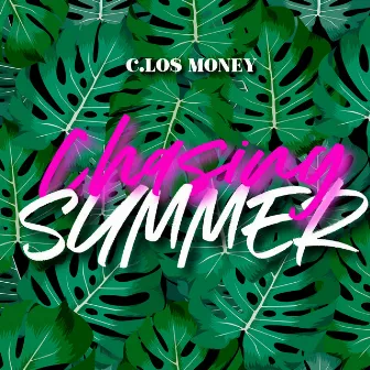 Chasing Summer by C.Los Money