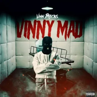 Vinny mad by Vinn Bricks