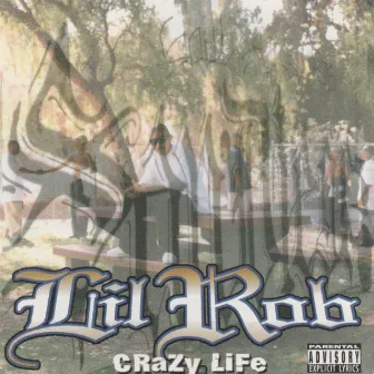 Crazy Life by Lil Rob