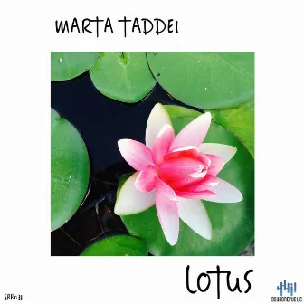 Lotus by Marta Taddei