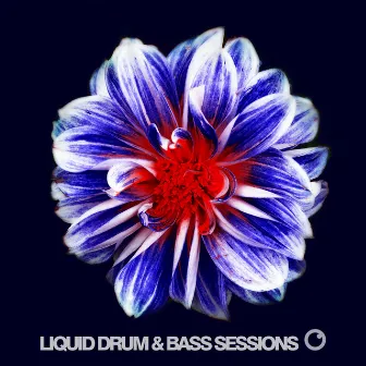 Liquid Drum & Bass Sessions 2019 Vol 6 by Dreazz