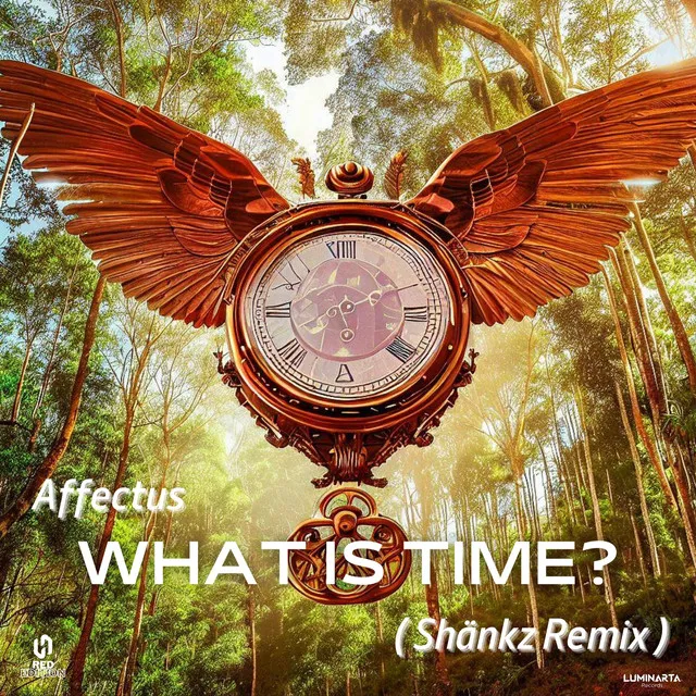 Affectus - What is time ( Remix )