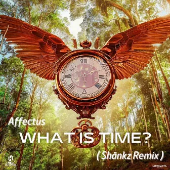 Affectus - What is time ( Remix ) by Shänkz