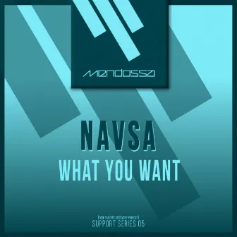 What You Want by Navsa