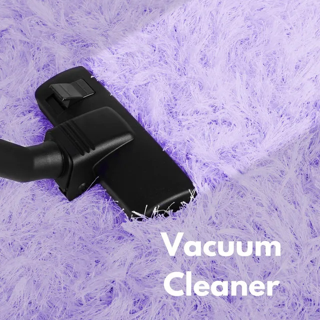 Vacuum Cleaner