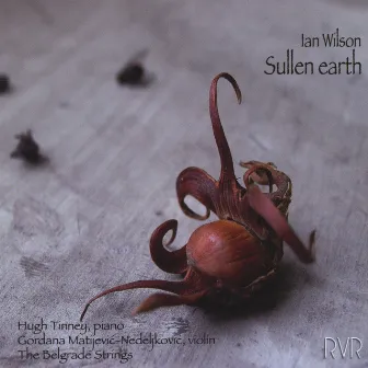 Sullen Earth by Ian Wilson