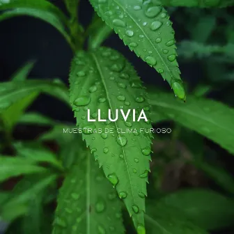 Lluvia: Muestras De Clima Furioso by Siente El Clima