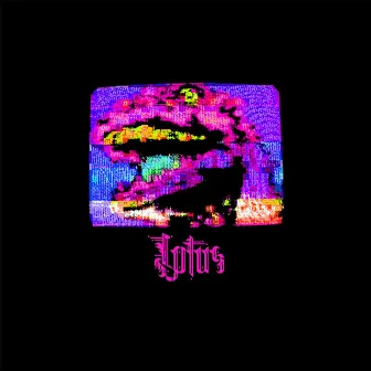 Lotus by Acid