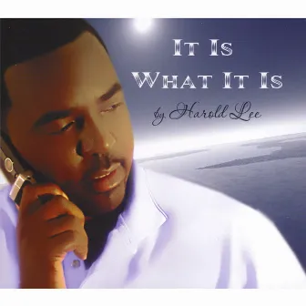 It Is What It Is by Harold Lee