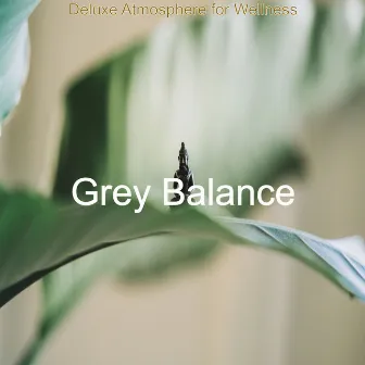 Deluxe Atmosphere for Wellness by Grey Balance