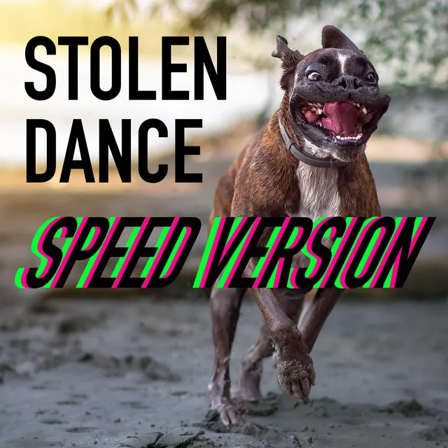 Stolen Dance - Speed Version