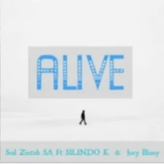 Alive by Soil Zintoh SA