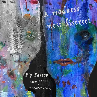 A Madness Most Discreet by Pip Eastop