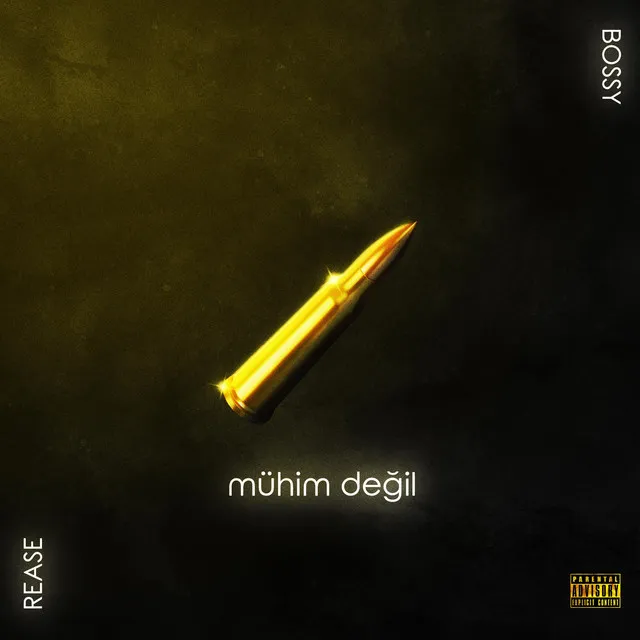 Mühim Değil