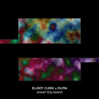 What You Want by Ellroy Clerk