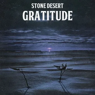 Gratitude by Stone Desert