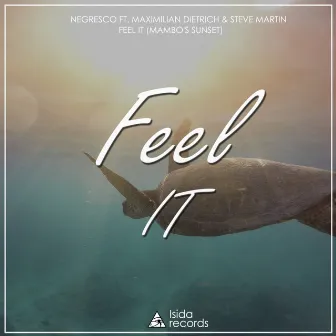 Feel It (Mambo's Sunset) by Negresco