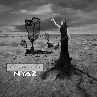 Fourth Light by Niyaz