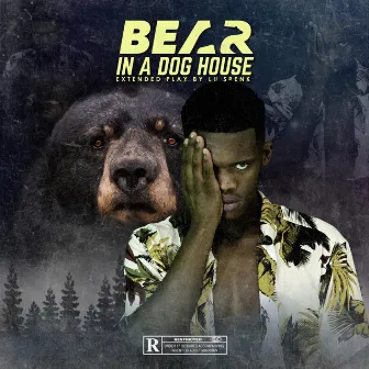 Bear in a Dog House by Lu Srenk