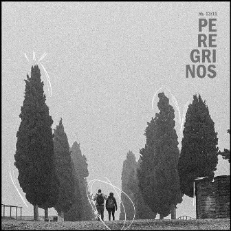 Peregrinos by Oscar Souza