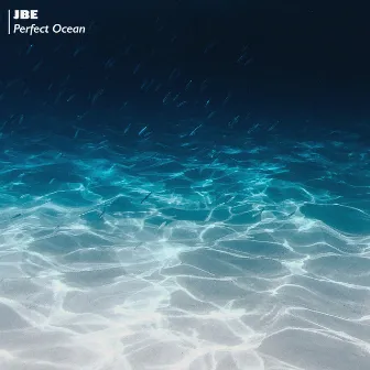 Perfect Ocean by JBE Nature Sounds