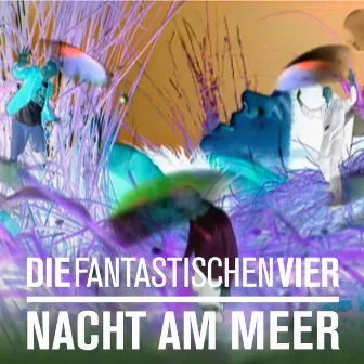 Nacht am Meer by Die Fantastischen Vier