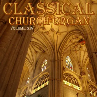 Classical Church Organ, Volume 14 by Theo Visser