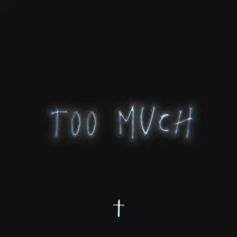 Too Much by Keith Anthoni