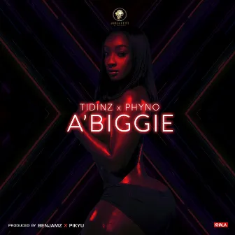 A'biggie (feat. Phyno) by Tidinz