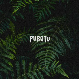 Purotu by Jackson Owens